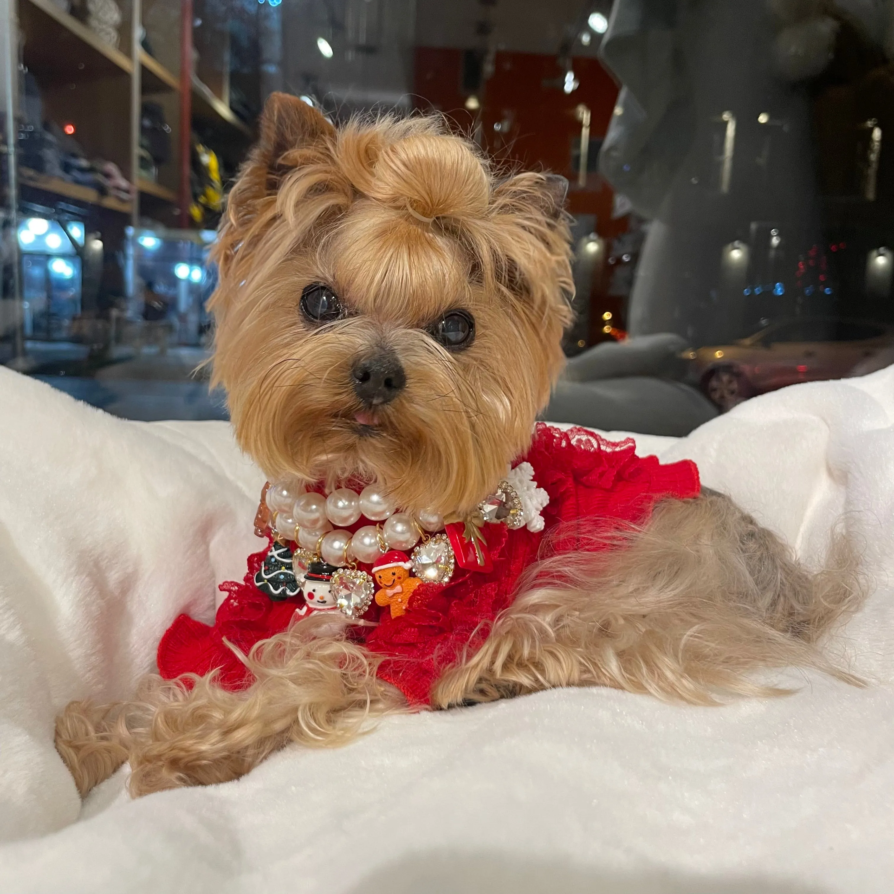 red knit turtleneck