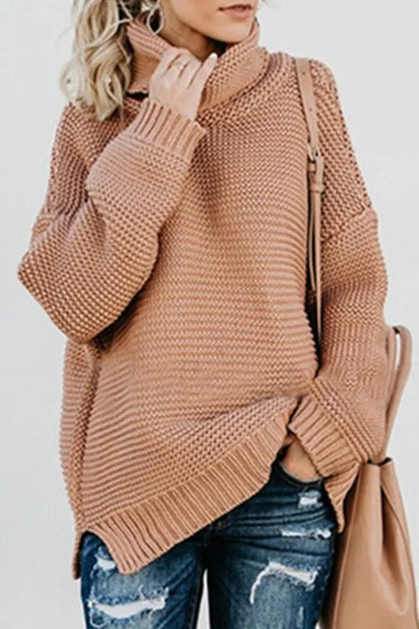 Turtle Neck  Plain Casual  Sweaters