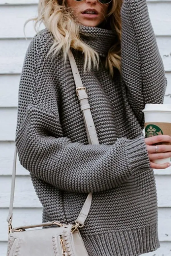 Turtle Neck  Plain Casual  Sweaters