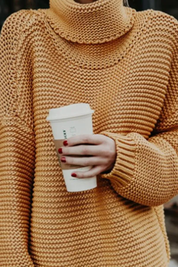 Turtle Neck  Plain Casual  Sweaters