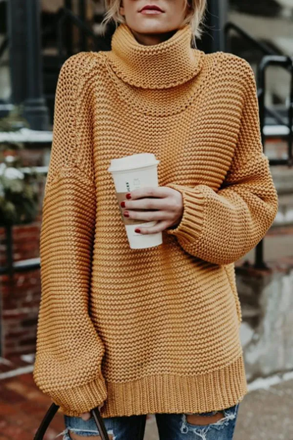 Turtle Neck  Plain Casual  Sweaters