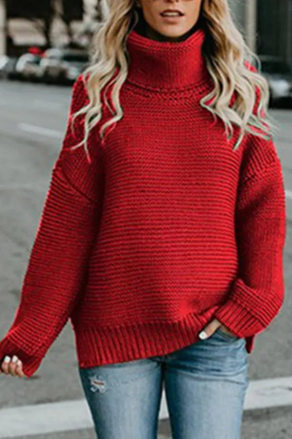 Turtle Neck  Plain Casual  Sweaters